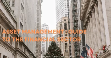 Asset management : guide to the financial sector