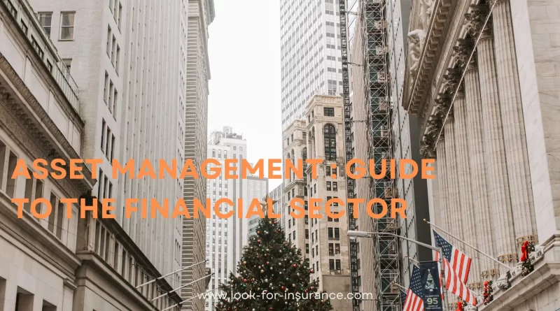 Asset management : guide to the financial sector
