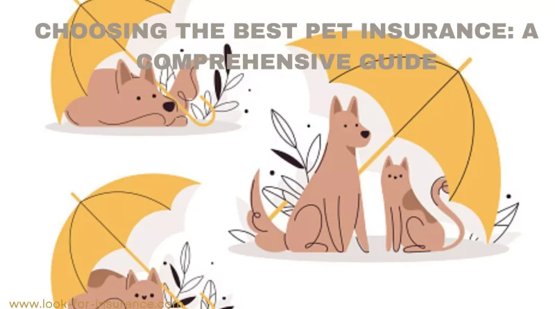 Choosing the Best Pet Insurance: A Comprehensive Guide