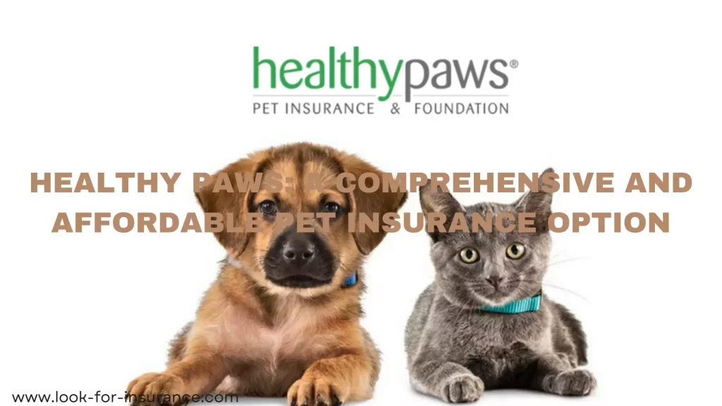 Healthy Paws A Comprehensive and Affordable Pet Insurance Option