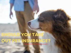 Should you take out pet insurance 1