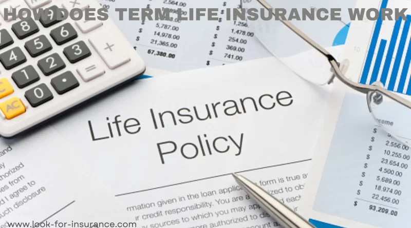 how does term life insurance work