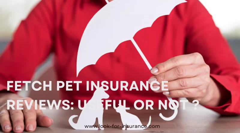 fetch pet insurance reviews: Useful or not ?